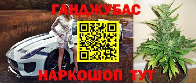 индика Тара