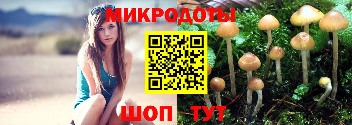 Галлюциногенные грибы мухоморы Белореченск
